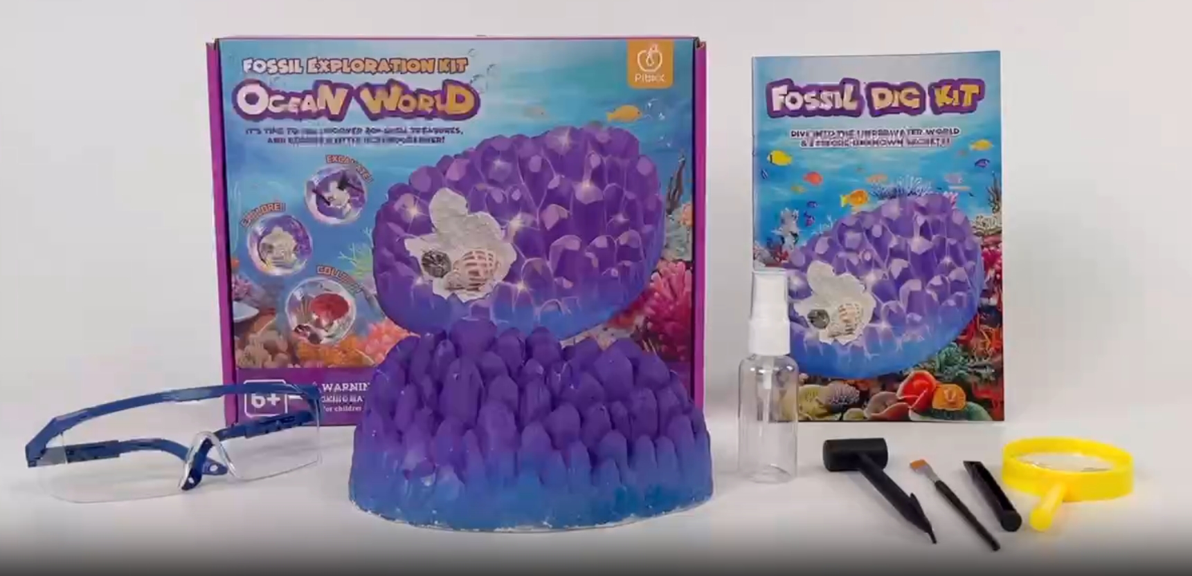 Amazon.com: PIBEX Ocean Fossil Dig Kit, Dig up 20+ Real Shells